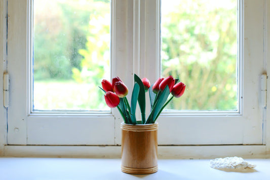 Tulpen vor einem Fenster